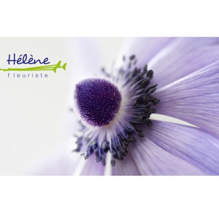 Logo de Fleuriste Hélène