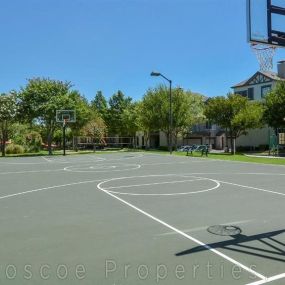 Basketball Court