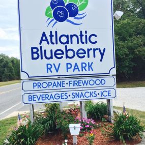 Bild von Atlantic Blueberry RV Park