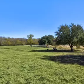 Bild von Wildcreek Apartments