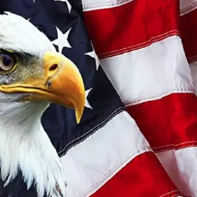 Trukmann's and American Legal premier litigation document support services