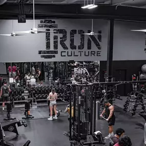 Die-cut Vinyl Graphic