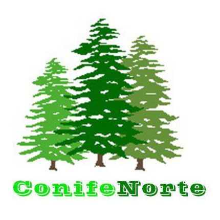 Logo fra Conifenorte S.L.