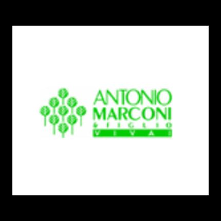 Logotipo de Vivai Marconi Antonio & Figli