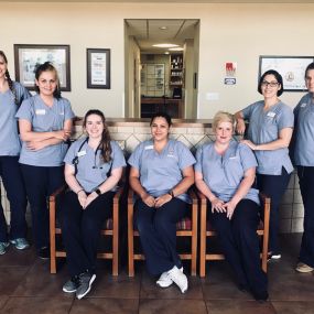 The caring and experienced team at VCA Elgin Family Pet Center!