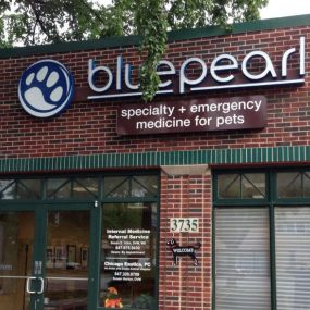 Bild von BluePearl Pet Hospital