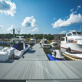 Safe Harbor Glen Cove