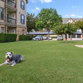 Dog model laying on the grass outside a building at Camden Riverwalk