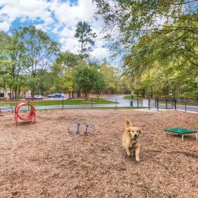 onsite private dog park with agility equipment