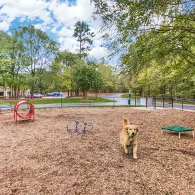 onsite private dog park with agility equipment