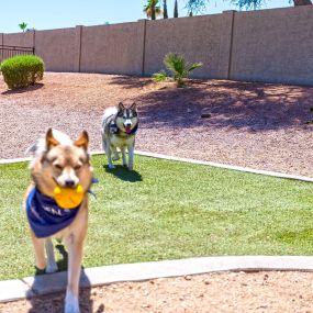 Private off leash dog park