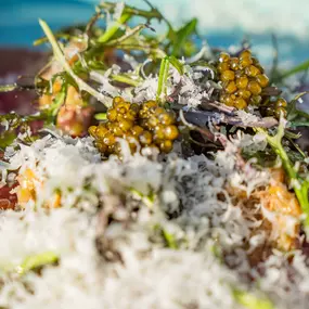 Caviar at Coronado brunch.