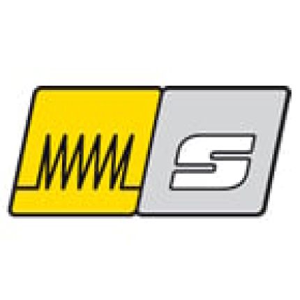 Logotipo de elektro scherzinger ag