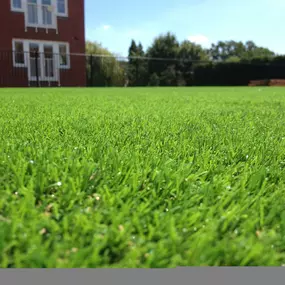 Bild von Perfectly Green - Artificial Grass Suppliers