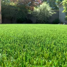 Bild von Perfectly Green - Artificial Grass Suppliers