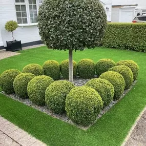 Bild von Perfectly Green - Artificial Grass Suppliers