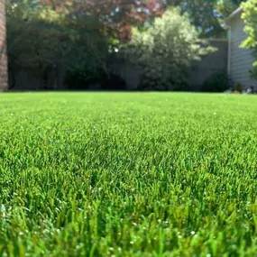 Bild von Perfectly Green - Artificial Grass Suppliers