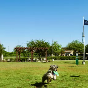 Dog park with outdoor covered seating