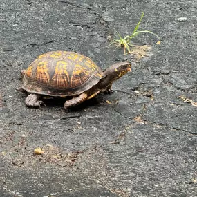 Had a new customer roll up to the office today.