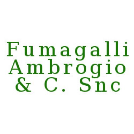 Logo van Fumagalli Ambrogio & C.