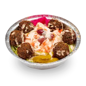 Falafel Plate