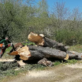 Treeworker De Smalle
