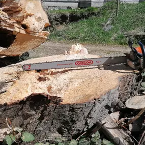 Treeworker De Smalle