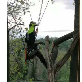 Treeworker De Smalle