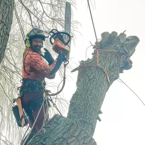 Treeworker De Smalle