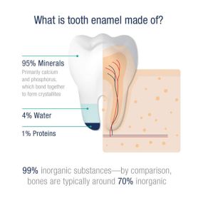 Have you ever wondered what took enamel is made of? We at Fifth Avenue Dental are here to answer that!