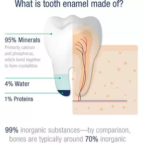 Have you ever wondered what took enamel is made of? We at Fifth Avenue Dental are here to answer that!