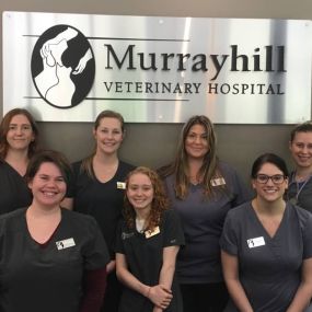 The caring and experienced team at VCA Murrayhill Veterinary Hospital!