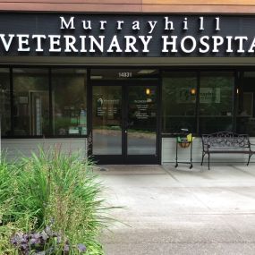 Welcome to VCA Murrayhill Veterinary Hospital!