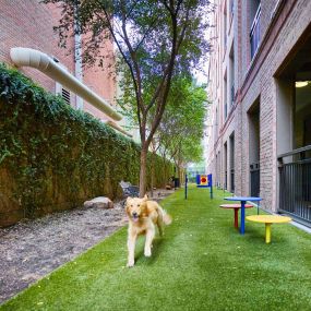 Fenced dog run at Camden Plaza Apartments in Houston, TX