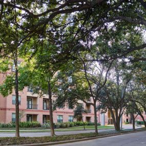 Tree lined street in front of Camden Plaza Apartments in Houston, TX