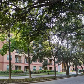 Tree lined street in front of Camden Plaza Apartments in Houston, TX