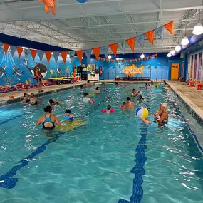 Bild von Goldfish Swim School - Okemos