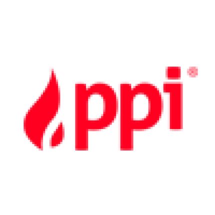 Logotipo de PPI - protipožární dveře s.r.o.