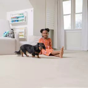 M.S. Chem-Dry Pet Urine Removal Treatment in Omaha, NE