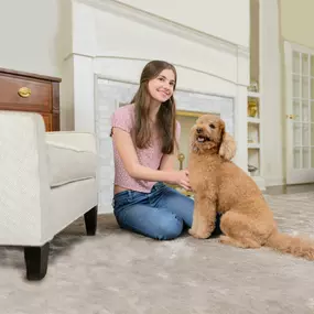 pet urine removal treatment in la vista