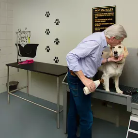 Paw Spa with Wash and Dry Station