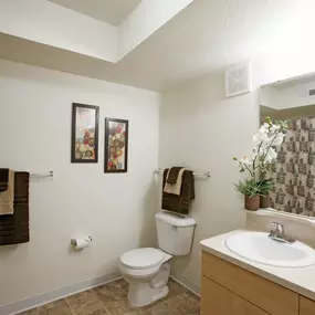 Limestone Creek Apartment Homes Bathroom