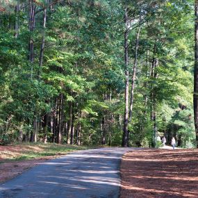 Enjoy a walk on the Apex Community Park Trails