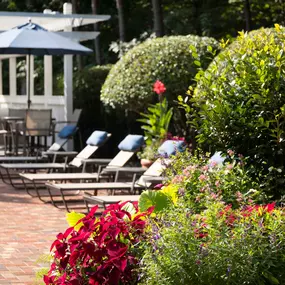 Relax by Camden Lake Pine's beautiful outdoor pool in Apex, NC