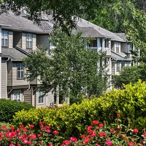 Building exterior flowers