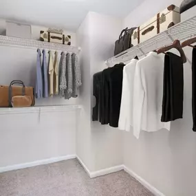 Spacious Walk-In Closet at Camden Lake Pine