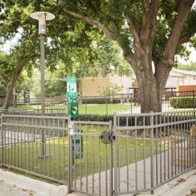 Bond With Your Pets At The Pet Park With Bench