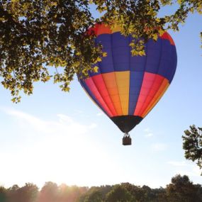 Hot Air Balloon at Boar