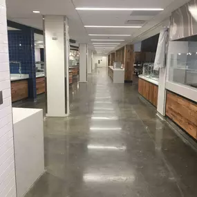 Our Work