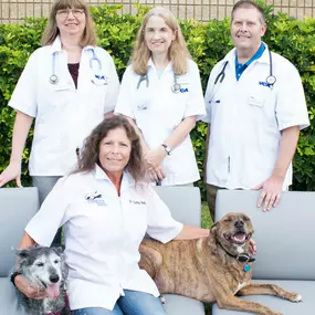 Bild von VCA Chiquita Animal Hospital